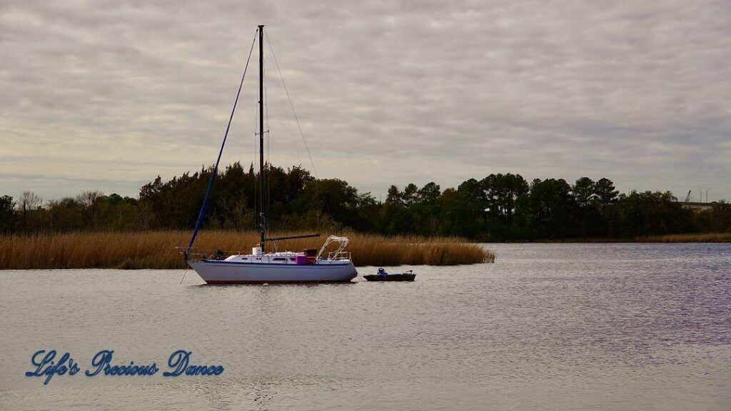 Sailboat and a small rowboat resting in the harbor. Beachgrass and trees in the background.