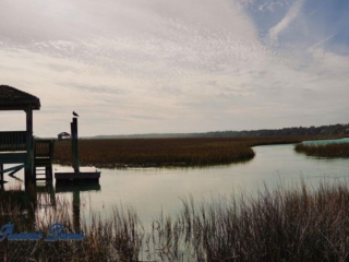 Seagull on a pier post beside a marshy area at Pawley's Island.