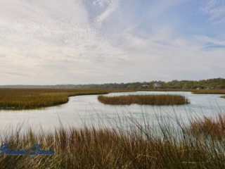 Landscape of the marsh at Pawley's Island