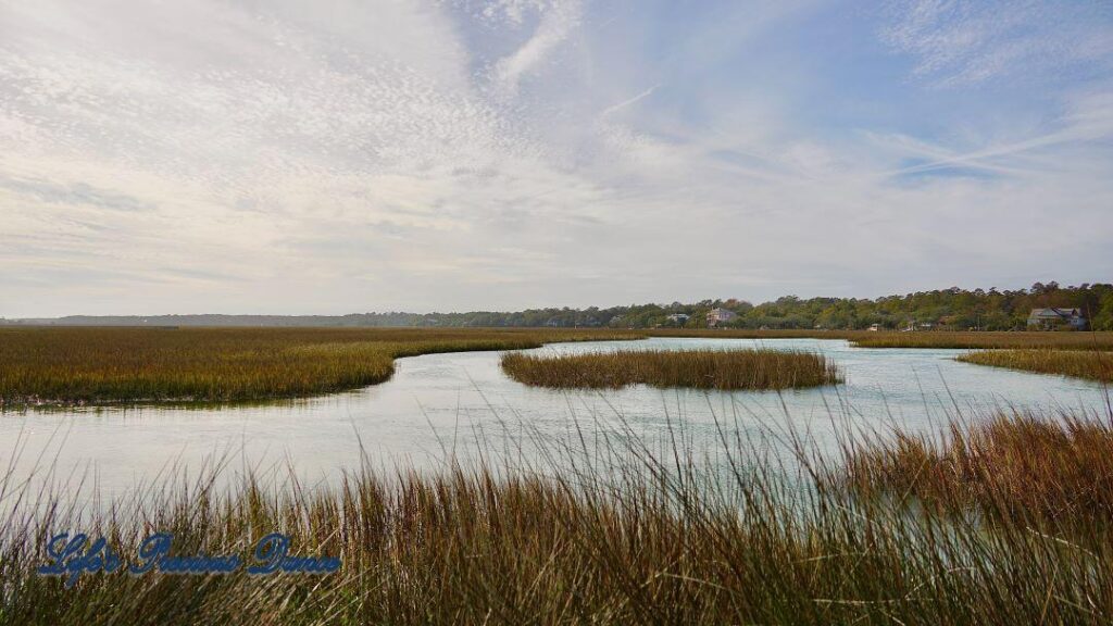 Landscape of the marsh at Pawley&#039;s Island