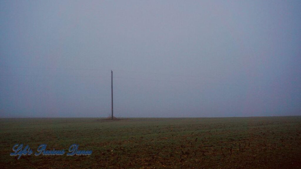 Lone power pole in a foggy field.