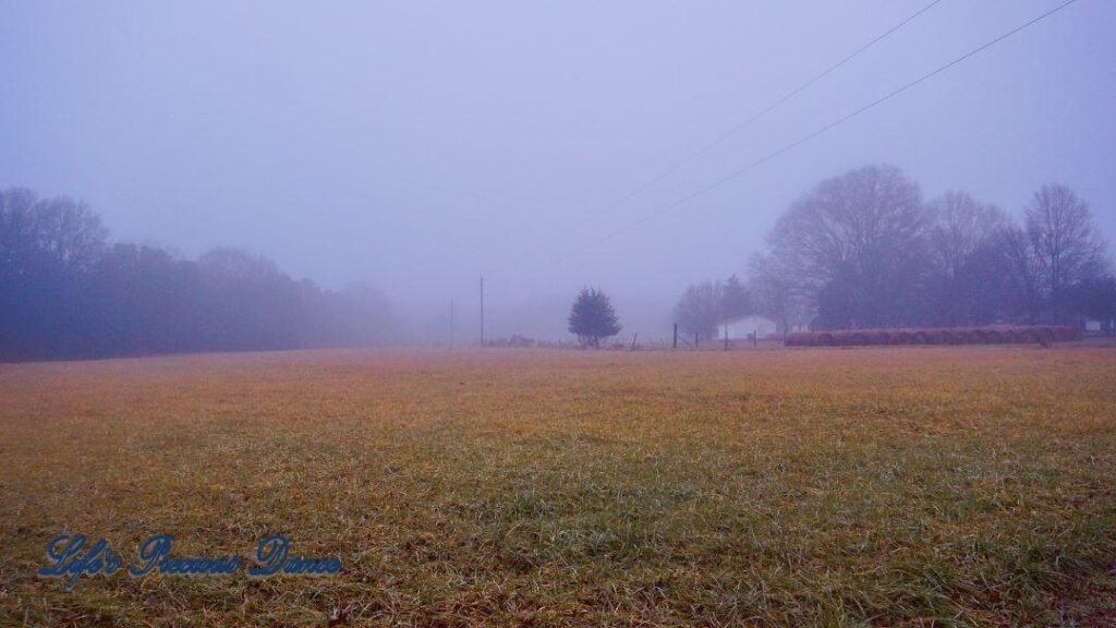 Landscape of a foggy pasture. Small house sits to the right.