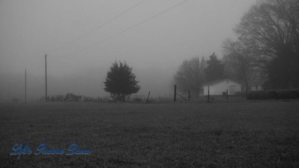 Black and white landscape of a foggy pasture. Small house sits to the right.