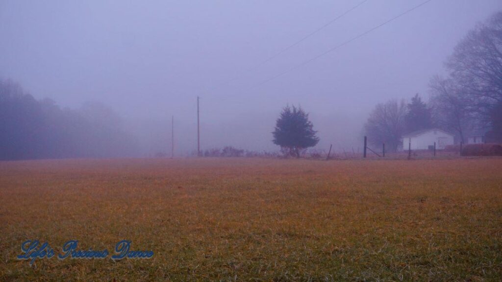 Landscape of a foggy pasture. Small house sits to the right.