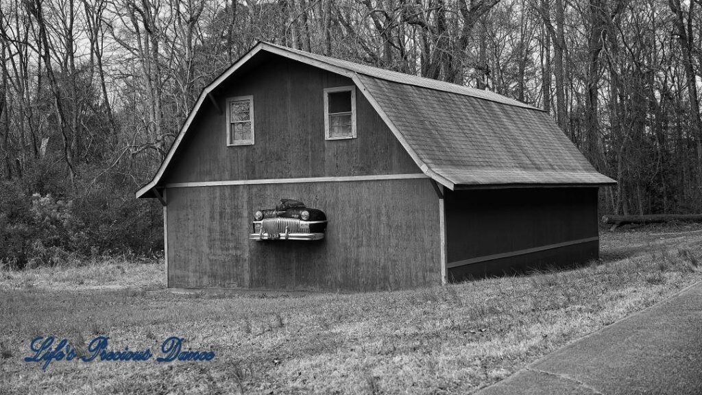 Black and white of barn with front end of classic DeSoto automobile hood protruding from structure.