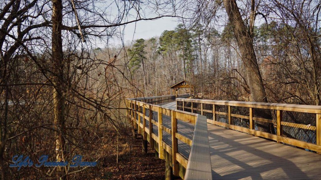 Wooden pedestrian bridge crossing Yates Mill Pond.