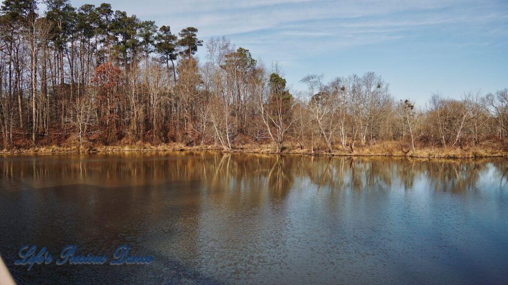 Trees and clouds reflecting in Yates Mill Pond.