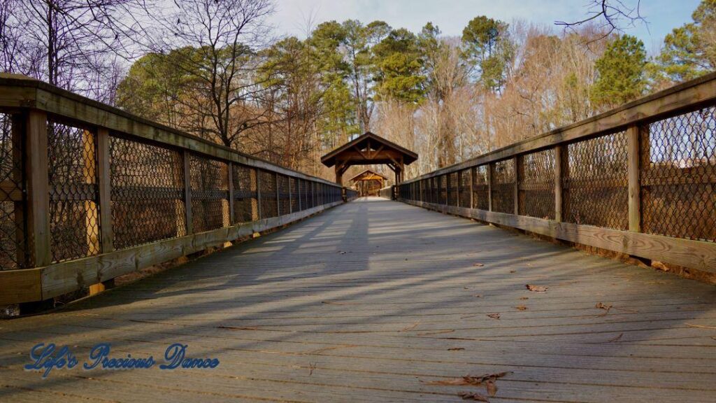 Ground level view of a wooden pedestrian bridge crossing a creek at Yates MIll. Trees in the background.