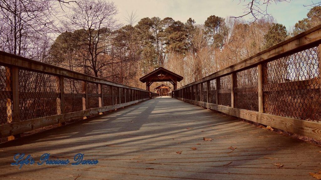 Ground level view of a wooden pedestrian bridge crossing a creek at Yates MIll.