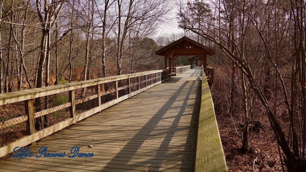 Wooden pedestrian bridge crossing a marshy area at Yates Mill Park.