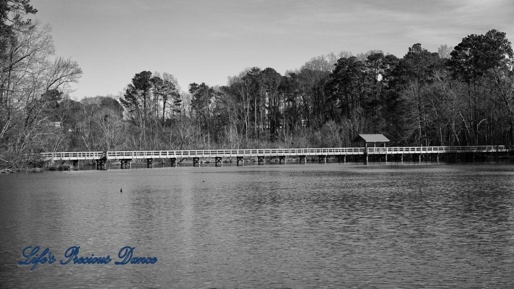 Black and white of Yates MIll Pond. Wooden pedestrian bridge spanning the water in background.