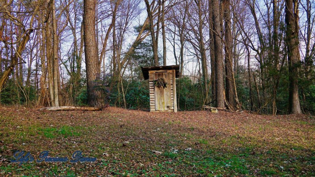 Outhouse in the afternoon sun, with trees towering above.