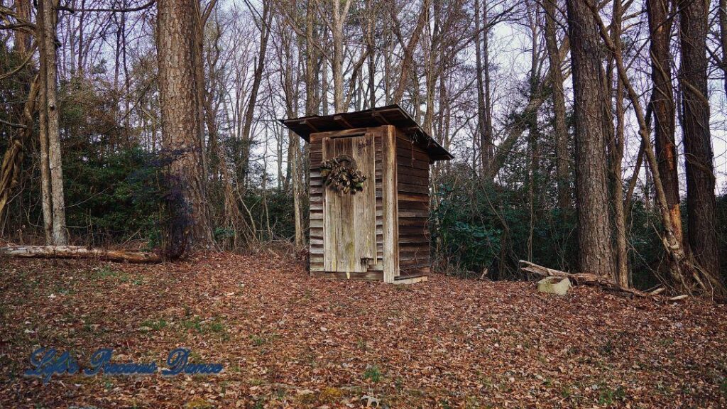 Side angle of an outhouse with trees in the background.