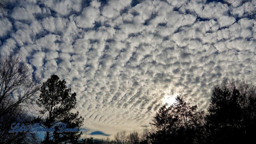 Fluffy cotton ball like clouds fill the sky as the sun tries to peek through.