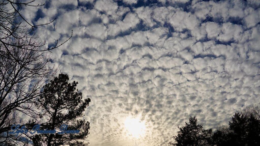 Fluffy cotton ball like clouds fill the sky as the sun tries to peek through.