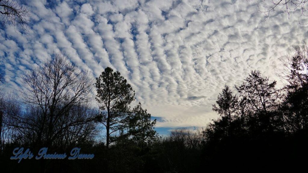 Fluffy cotton ball like clouds fill the sky as blue skies try to peek through. Trees in the foreground.