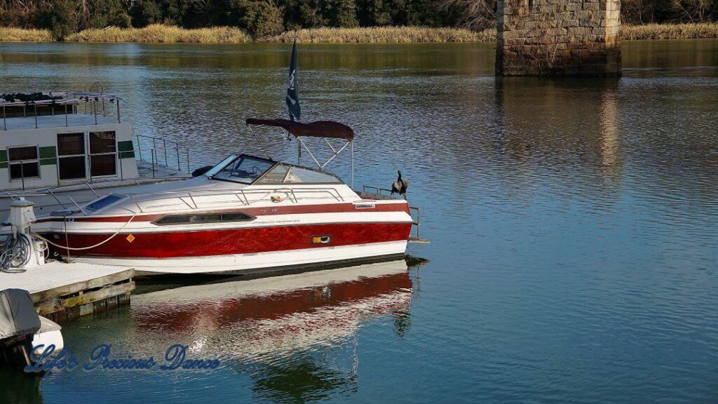 Boat ties to a pier reflecting in the Savannah River. An Anhinga bird resting on its stern.