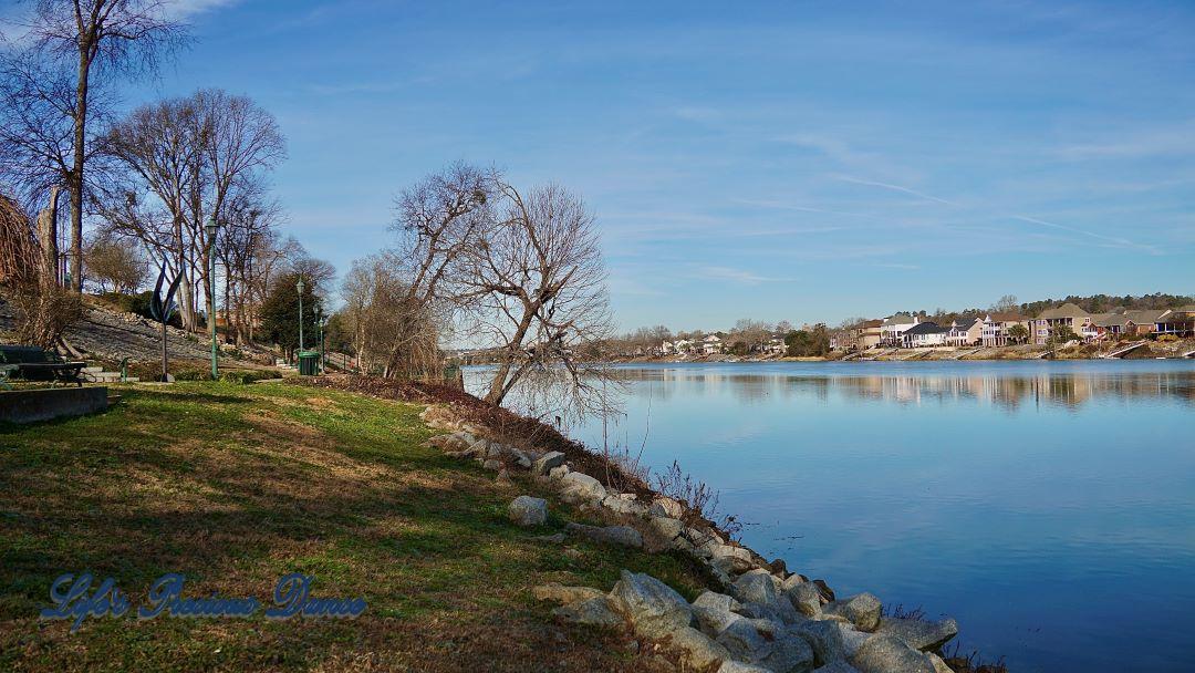 The Savannah River with blue skies, clouds and waterfront houses reflecting in the water.