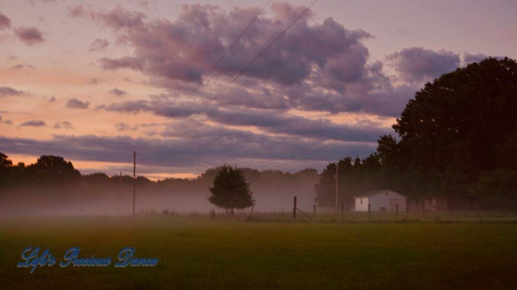 Lone tree sitting in foggy pasture. Dark clouds overhead and a farmhouse to the right.