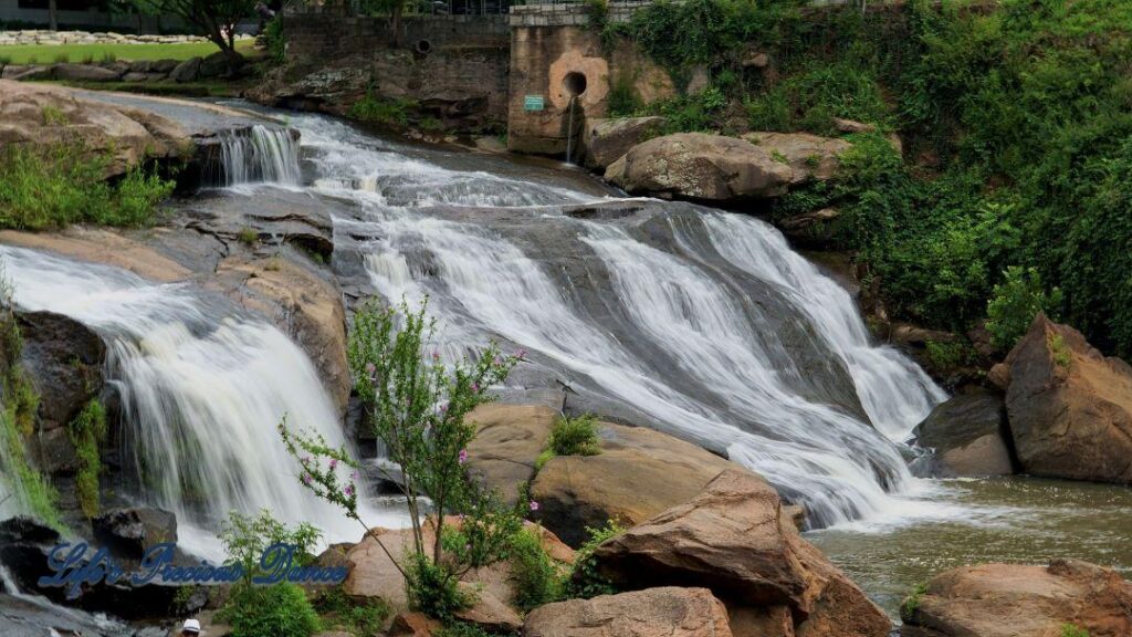 Reedy Falls cascading over rocks into the river below.