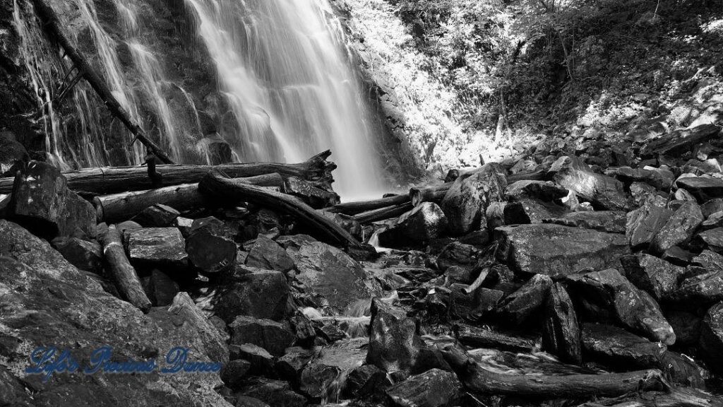 Black and white of Crabtree Falls cascading down a rockface. Downed trees and rocks in foreground