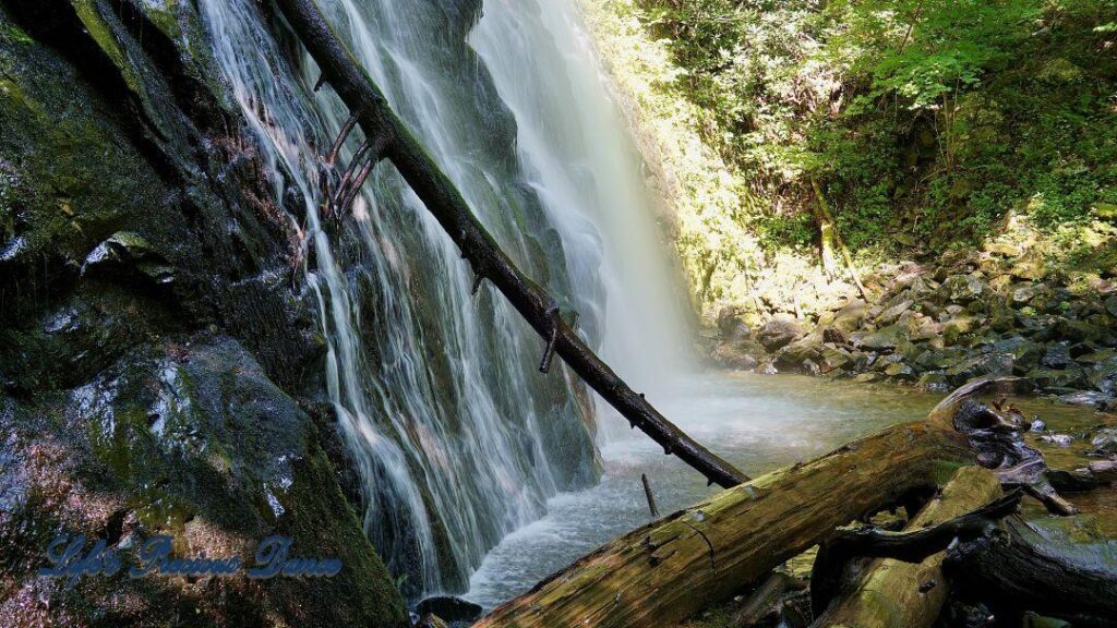 Close up of Crabtree Falls. Downed trees in foreground.