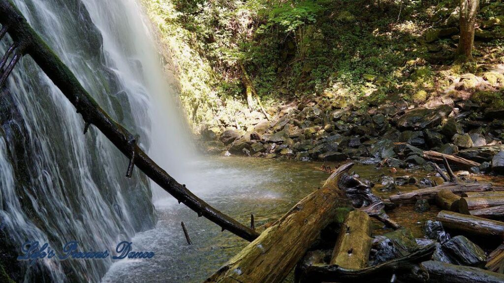 Close up of Crabtree Falls. Downed trees in foreground.