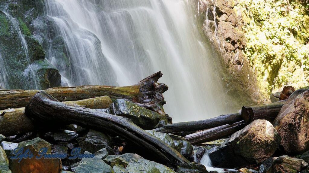 Close up of Crabtree Falls. Downed trees in foreground.