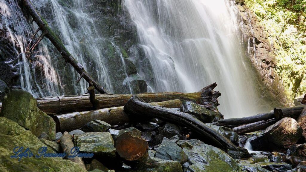 Close up of Crabtree Falls. Downed trees in foreground.