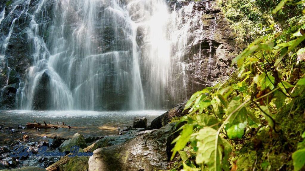 Crabtree Falls cascading down a rockface into a pool of water. Close up vegetation to the right.