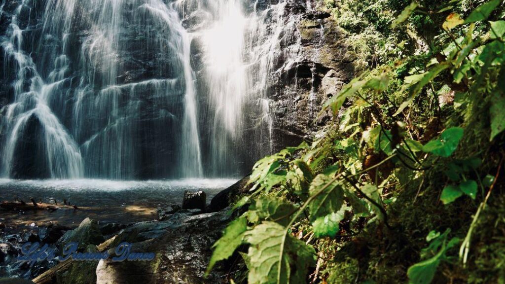 Crabtree Falls cascading down a rockface into a pool of water. Close up vegetation to the right.