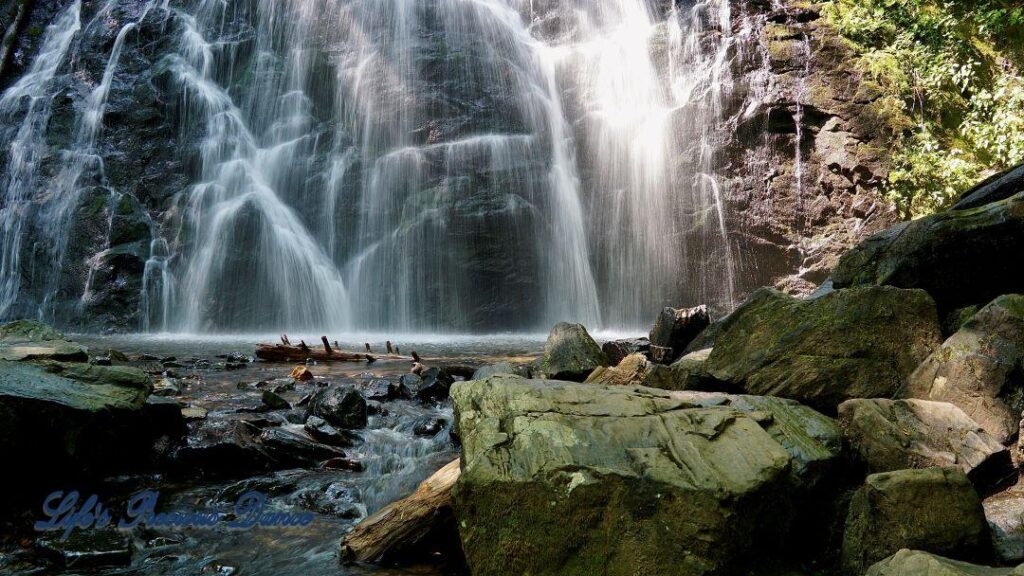 Crabtree Falls cascading down rockface into a pool of water. Rocks and a downed tree in foreground.