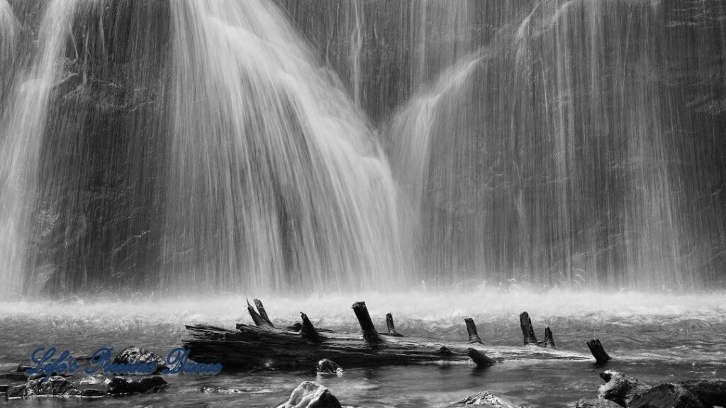 Black and white of Crabtree Falls spilling down a rockface into a pool of water. Downed tree in the foreground.