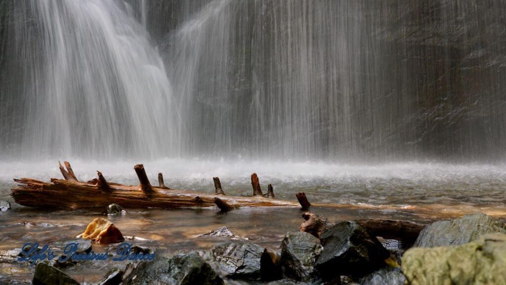 Crabtree Falls cascading down rockface into a pool of water. Rocks and a downed tree in foreground.