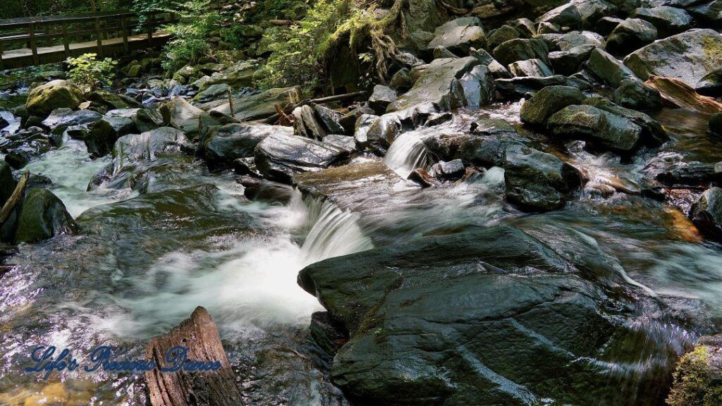 Water flowing through and spilling over rocks into a mountain stream.