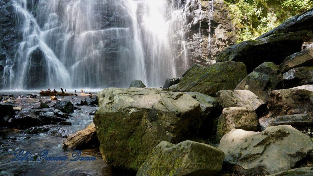 Crabtree Falls cascading down rockface into a pool of water. Rocks and a downed tree in foreground.