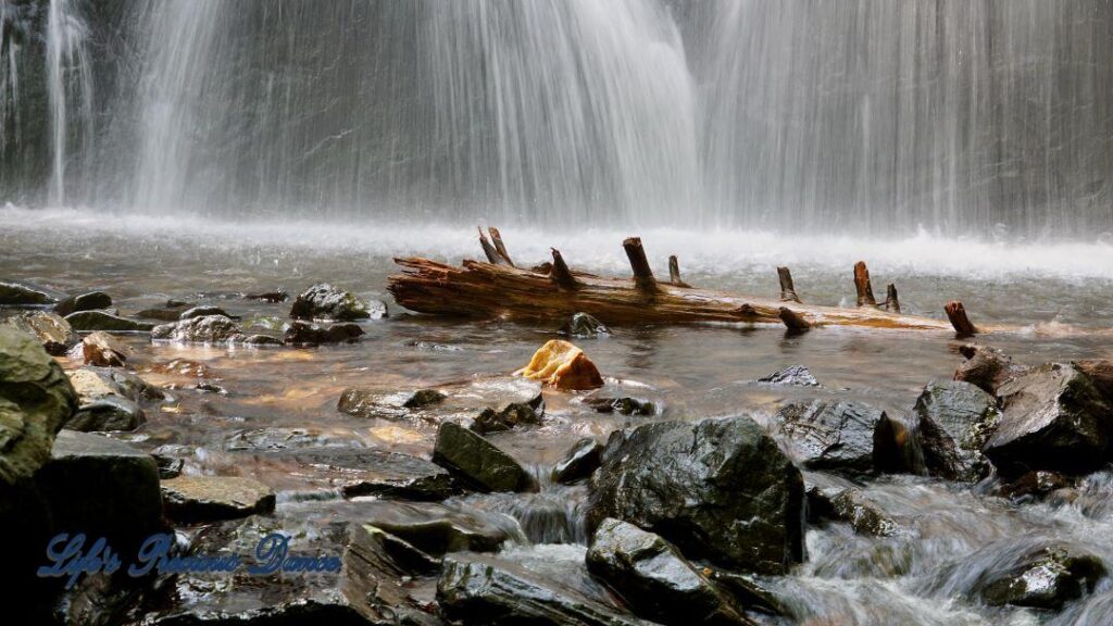 Crabtree Falls cascading down rockface into a pool of water. Rocks and a downed tree in foreground.