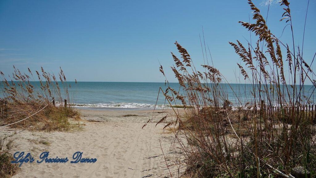 Sandy path leading to Edisto Beach. Ocean in background and beach grass in the foreground.