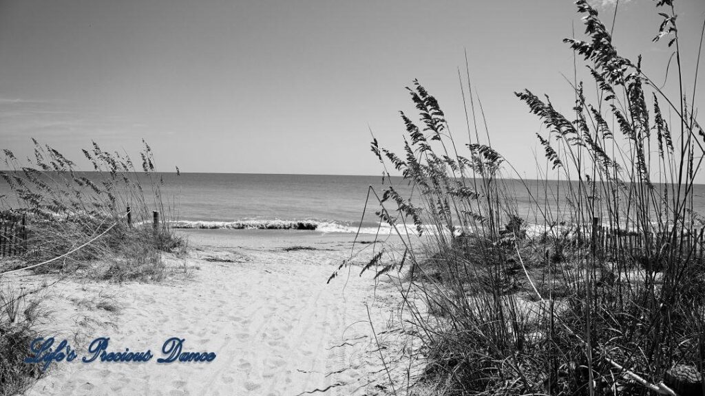 Black and white of Edisto Beach. Waves coming in and beach grass in the foreground.