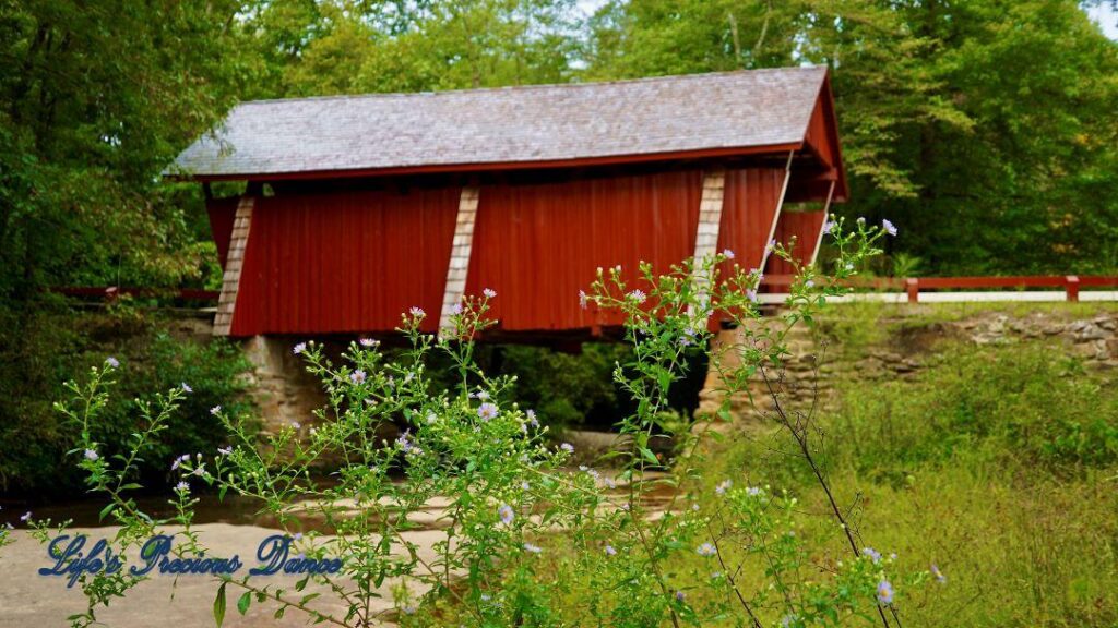 Side view of Campbell&#039;s Covered Bridge spanning the creek. Wildflowers in the foreground.