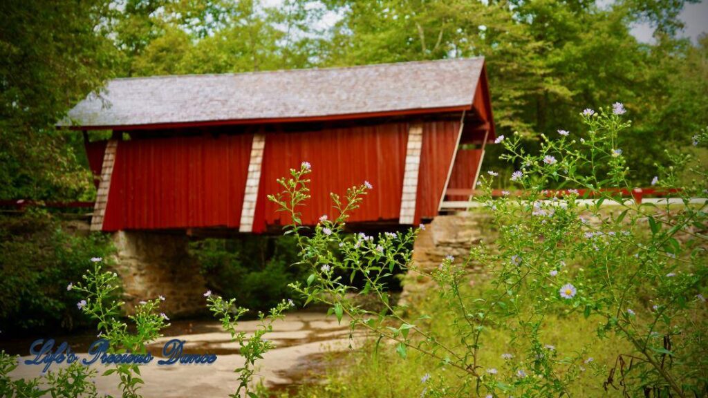 Side view of Campbell&#039;s Covered Bridge spanning the creek. Wildflowers in the foreground.