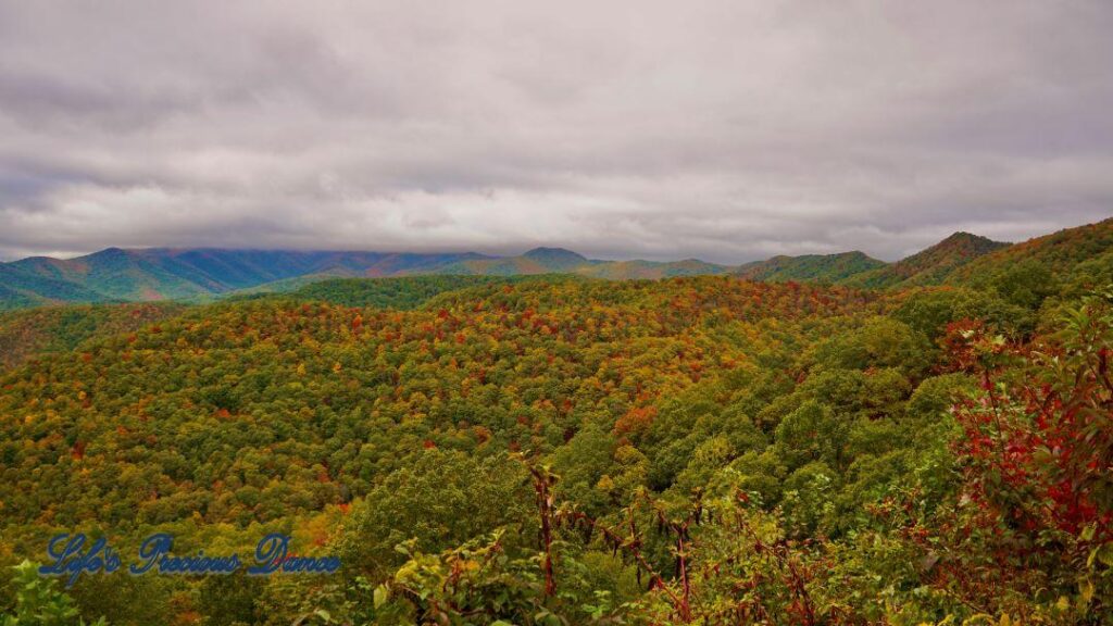 Landscape view from the Blue Ridge Parkway of the valley with overcast skies.