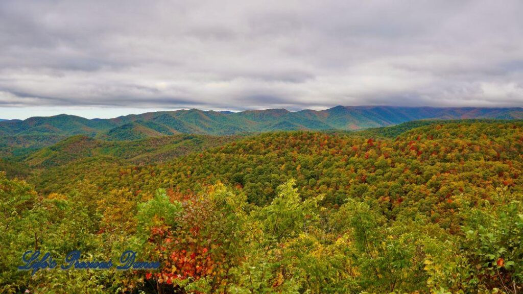 Landscape view of the colorful trees of the Blue Ridge Mountains. Overcast skies overhead.