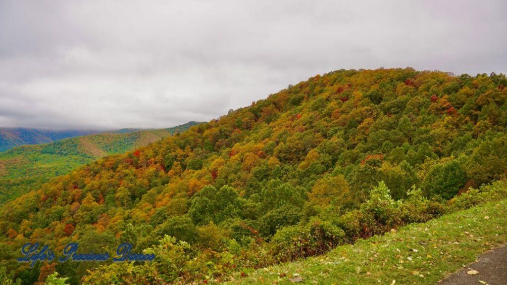 Landscape view of the colorful trees of the Blue Ridge Mountains. Overcast skies overhead.