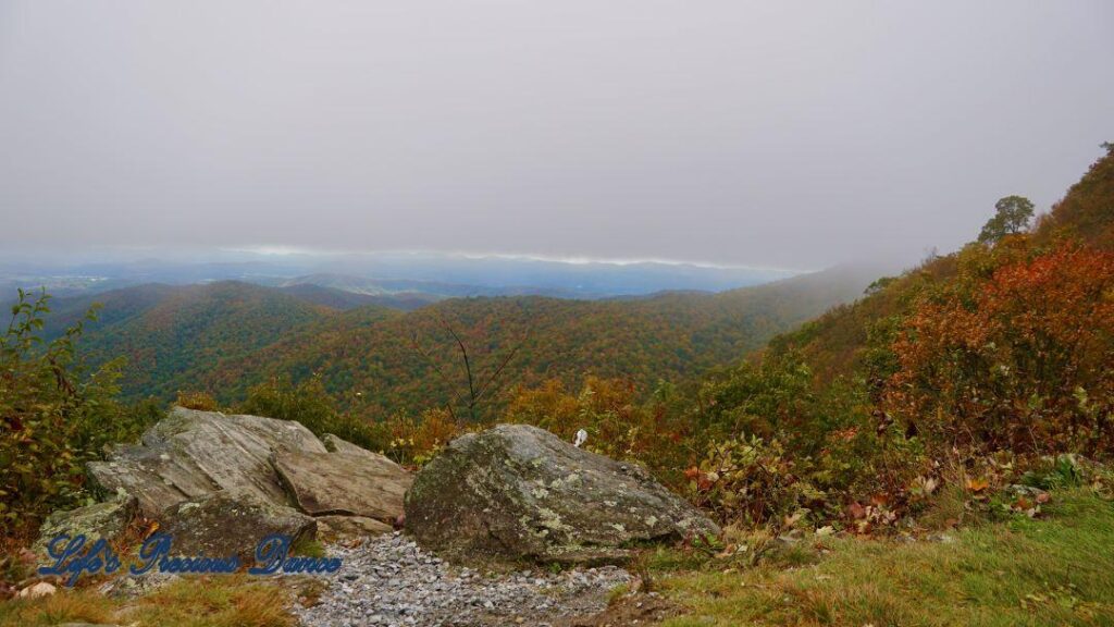 Landscape view of the colorful trees of the Blue Ridge Mountains. Overcast skies overhead and fog in the valley.