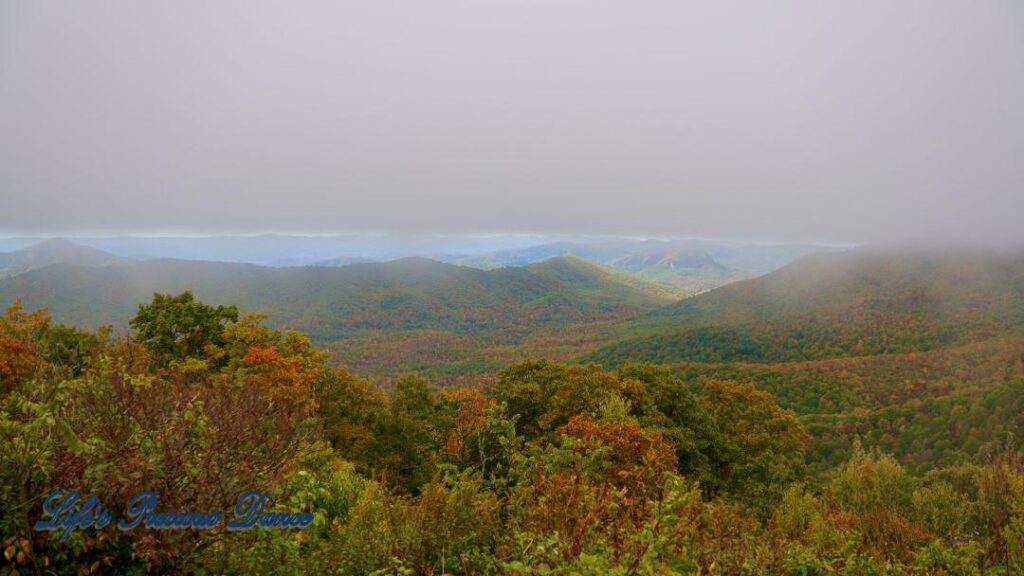 Landscape view of the colorful trees of the Blue Ridge Mountains. Overcast skies overhead and fog in the valley.