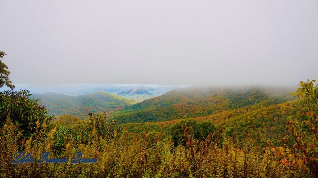 Landscape view of the colorful trees of the Blue Ridge Mountains. Overcast skies overhead and fog in the valley.