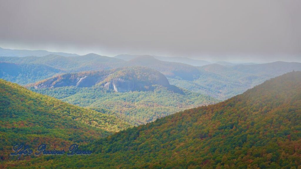 Landscape view of the colorful trees of the Blue Ridge Mountains. Overcast skies overhead and fog in the valley.