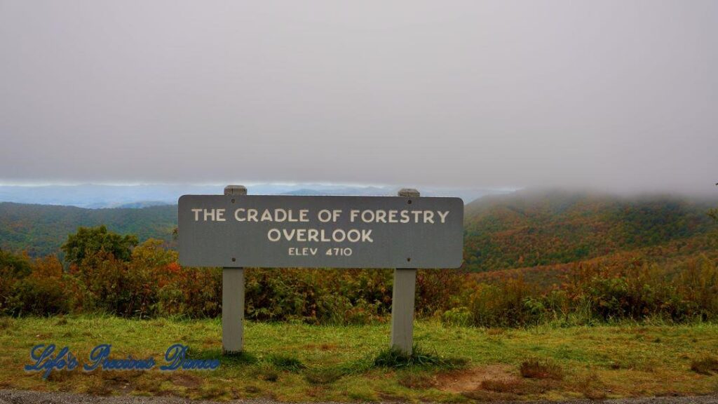 Landscape view of the colorful trees of the Blue Ridge Mountains. Overcast skies overhead and fog in the valley.