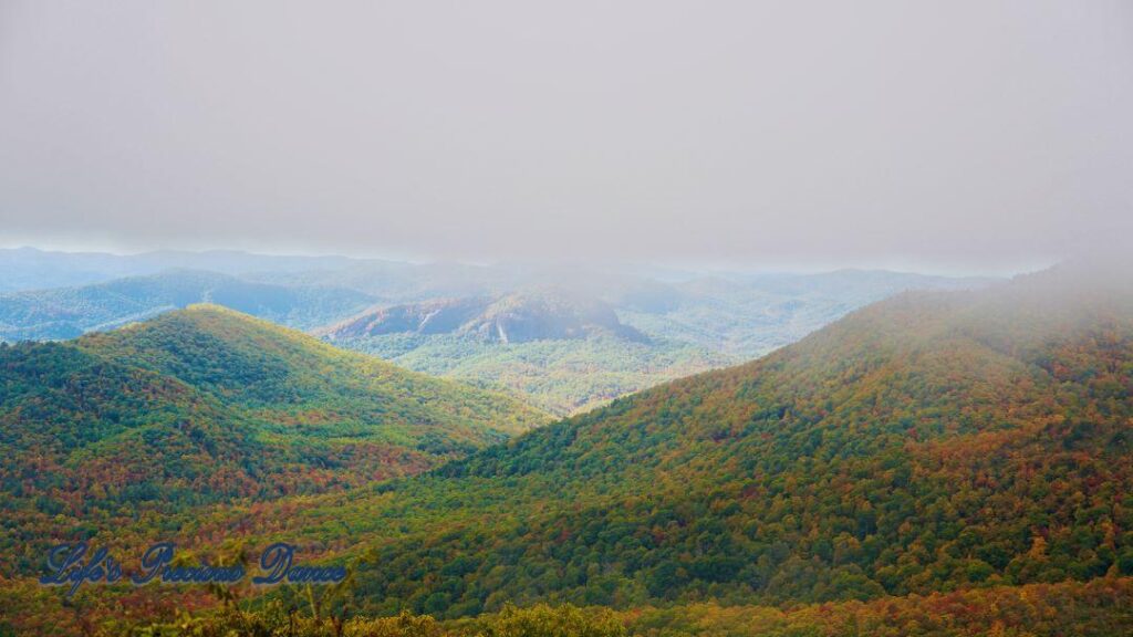 Landscape view of the colorful trees of the Blue Ridge Mountains. Overcast skies overhead and fog in the valley.